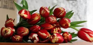 bukiet z tulipanow